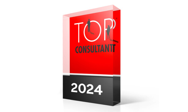 Top Consultant 2024 Siegel