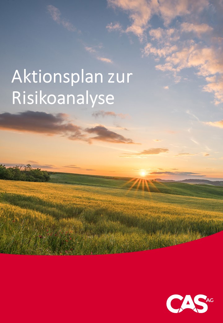 Aktionsplan zur Risikoanalyse CAS AG Nachhaltigkeit