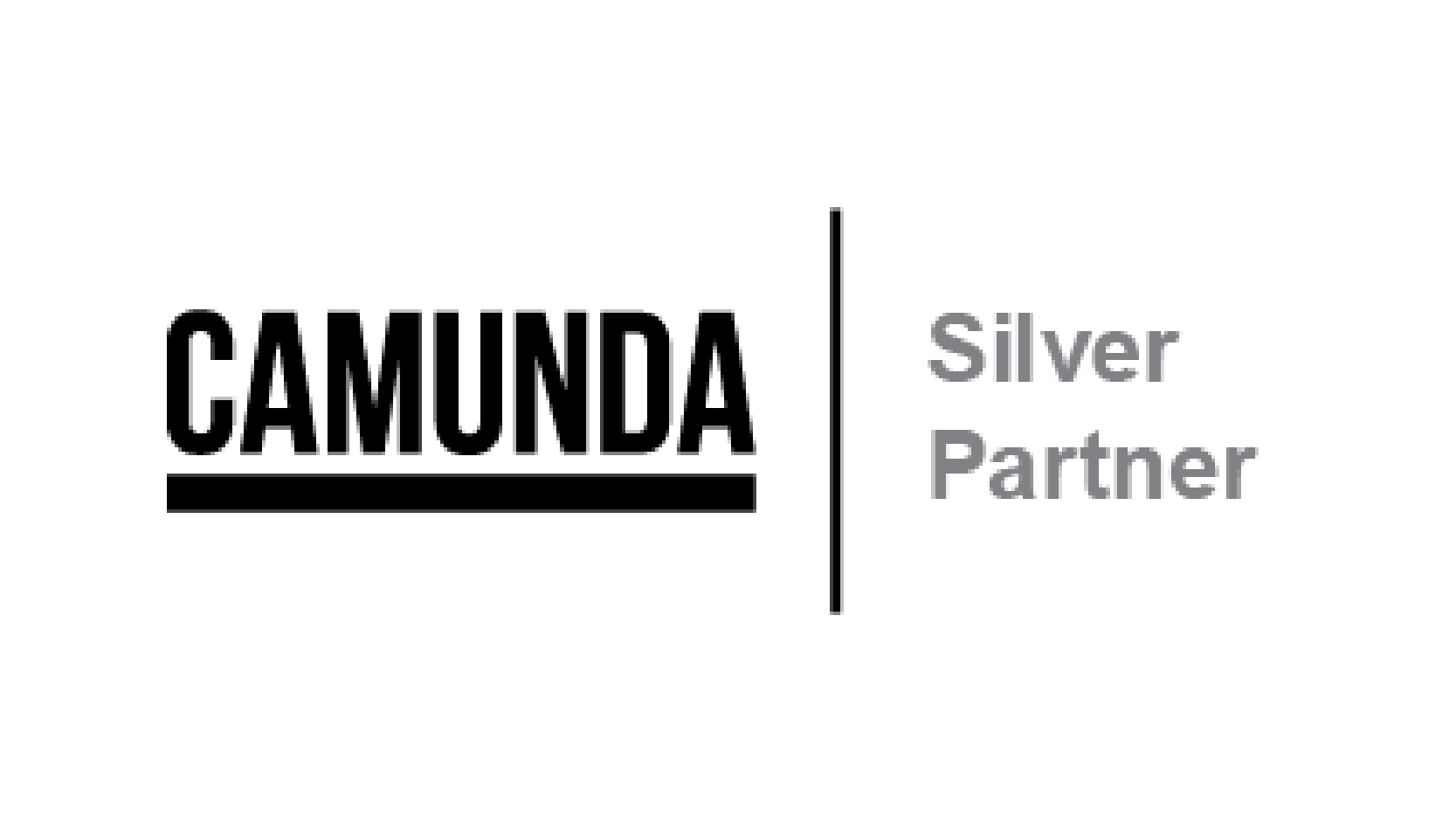 Business Partner Netzwerk CAMUNDA Silver Partner
