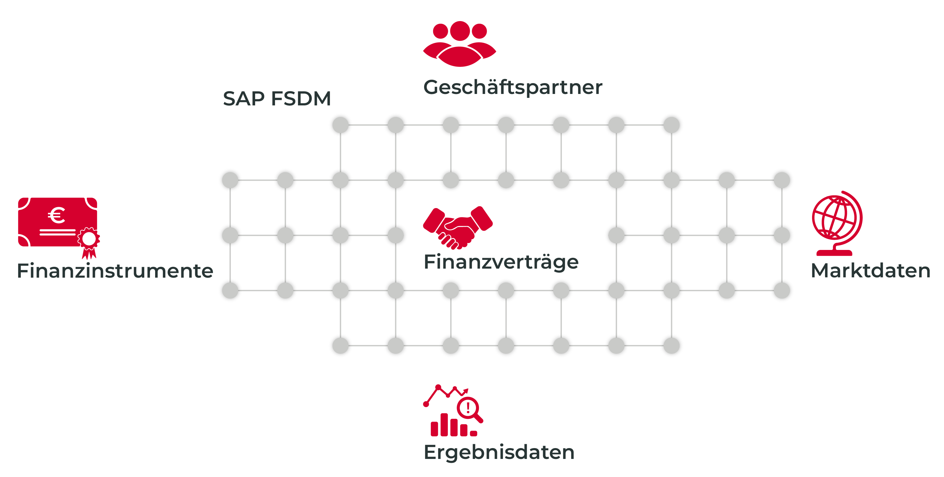 Aufbau & Implementierung von SAP FSDM