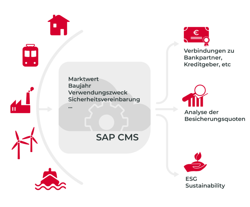 SAP CMS Grafik