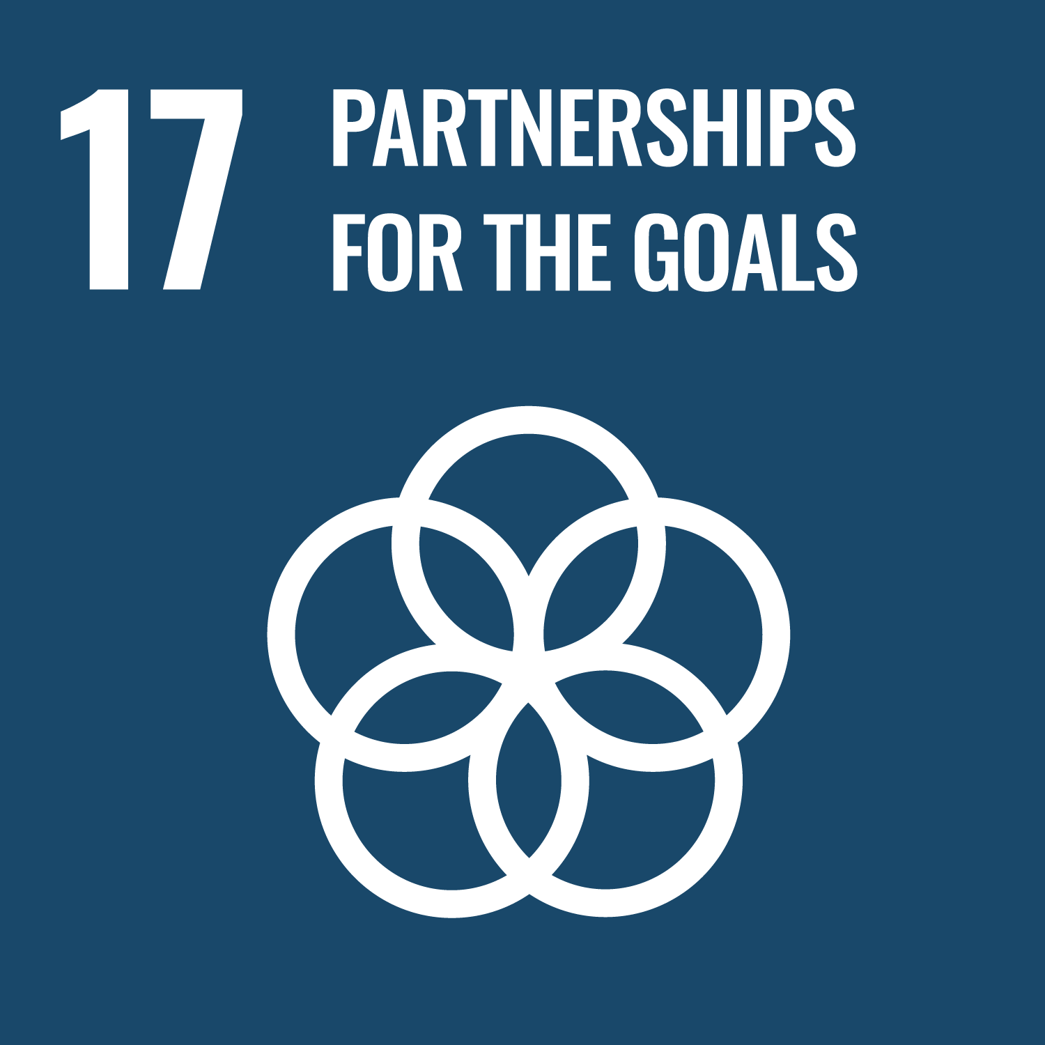 Partnerschaften zur Erreichung der Ziele Partnerships for the goals UN Ziel 17