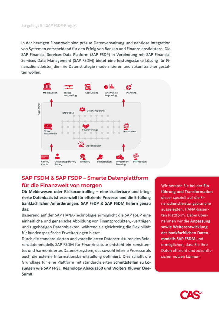 SAP FSDP Whitepaper Financial Services CAS AG